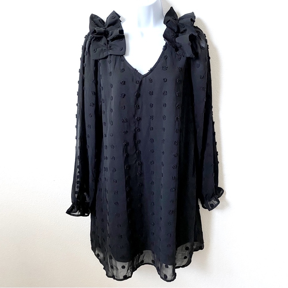 Entro, Long Sleeve Black Flowy Sheer Lined Mini Dress
